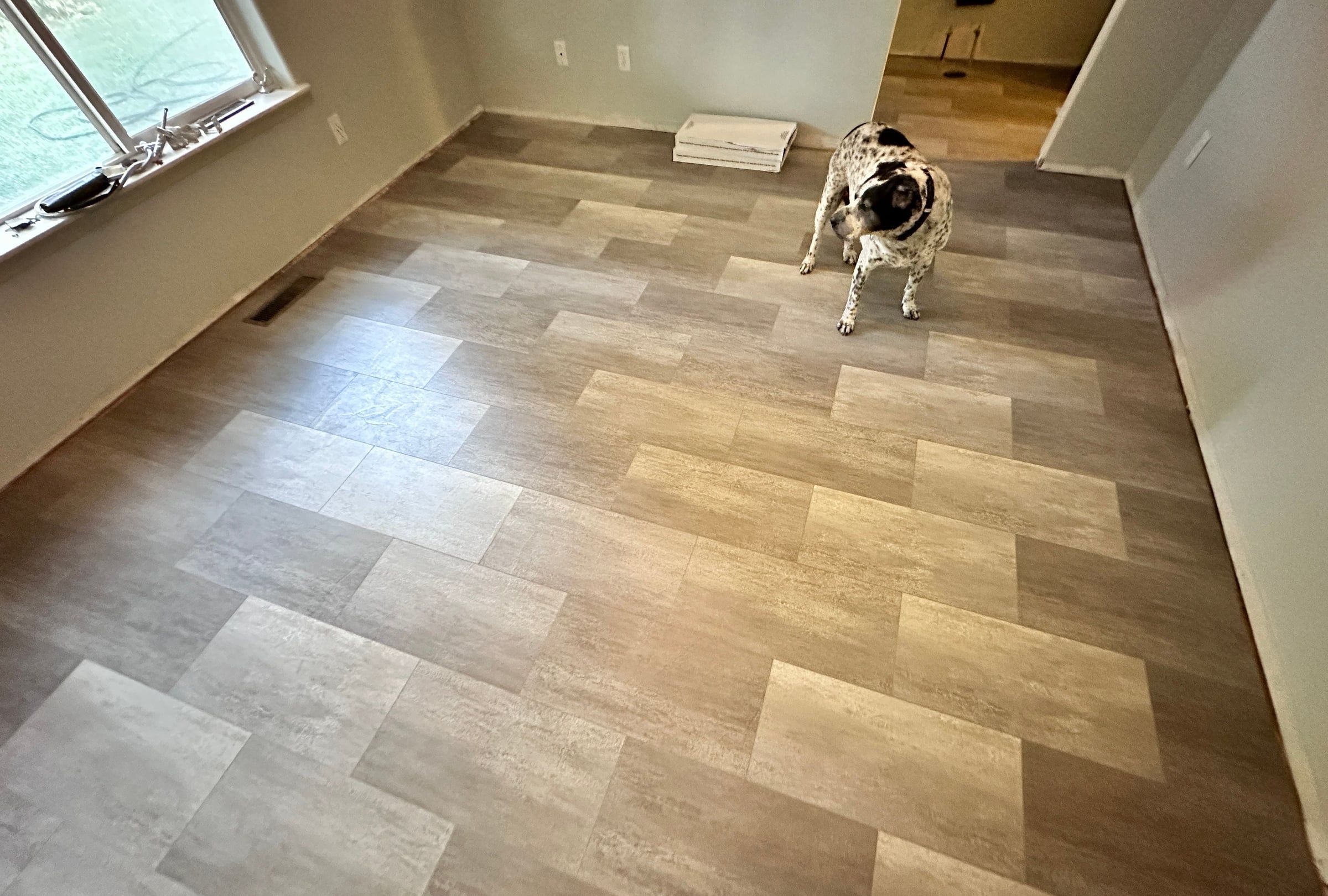 Stone-look luxury vinyl tile in a staggered pattern, with the family dog inspecting the new floor